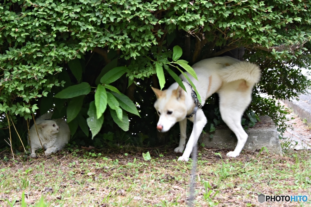 何してるんだ