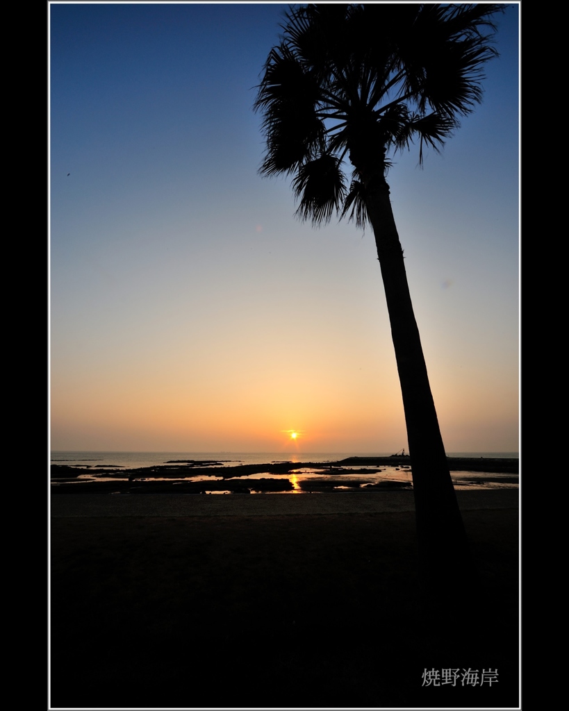 焼野海岸