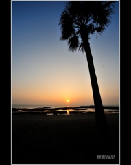 焼野海岸