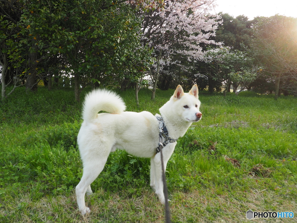 宇部空港横の公園