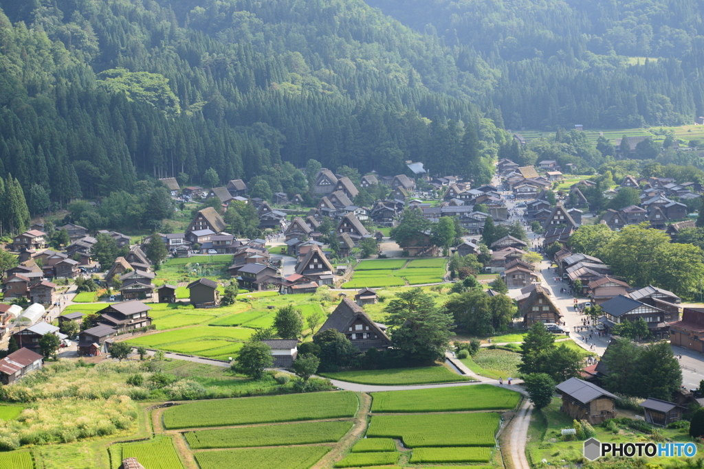 夏の白川郷