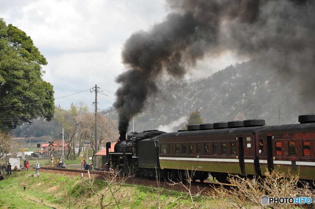 SL山口 津和野行き