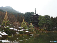 山口瑠璃光寺五重塔