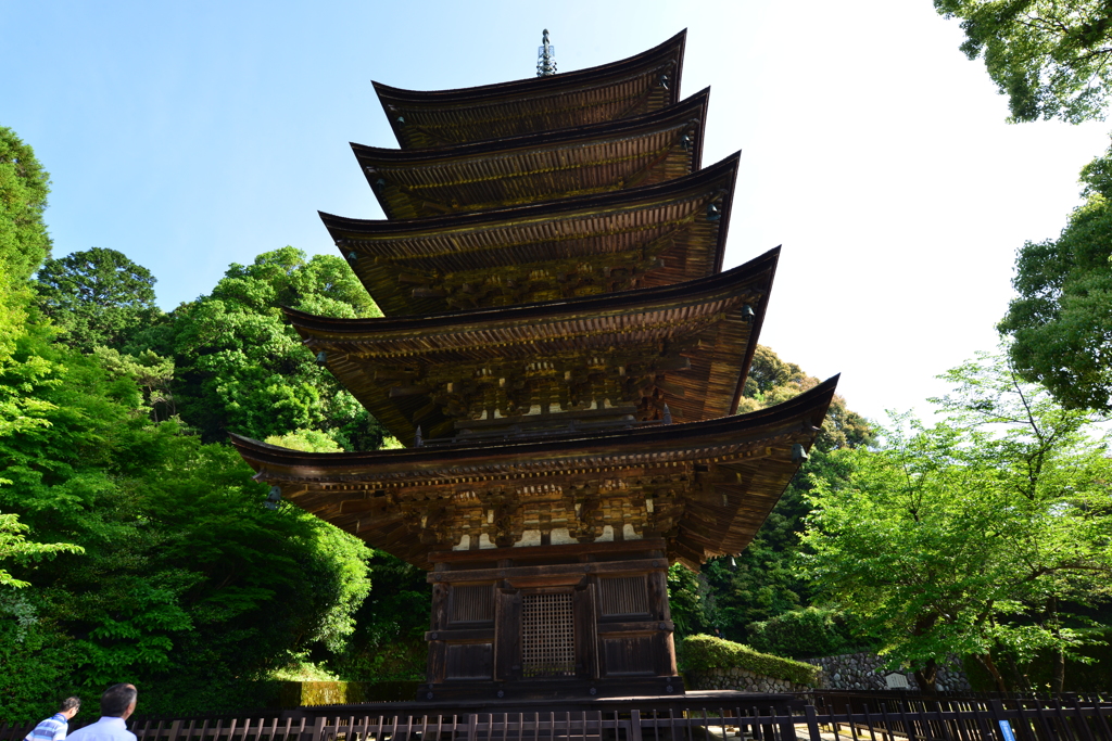 今日の瑠璃光寺