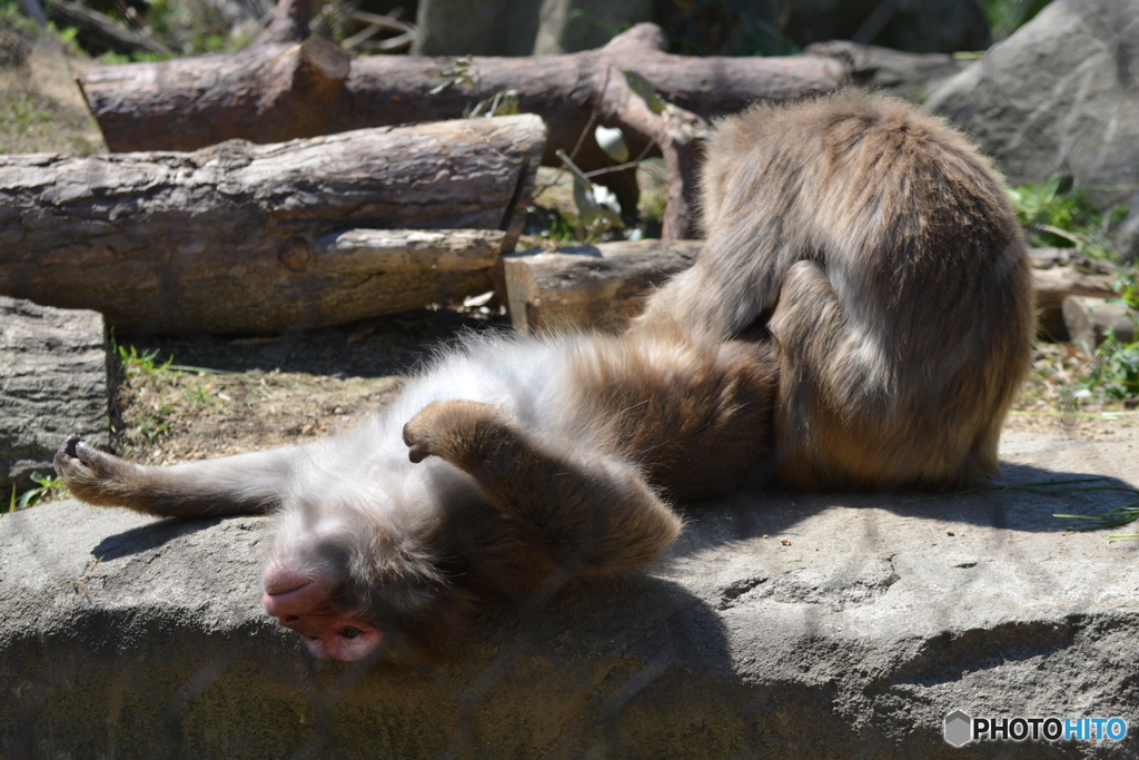 ときわ動物園