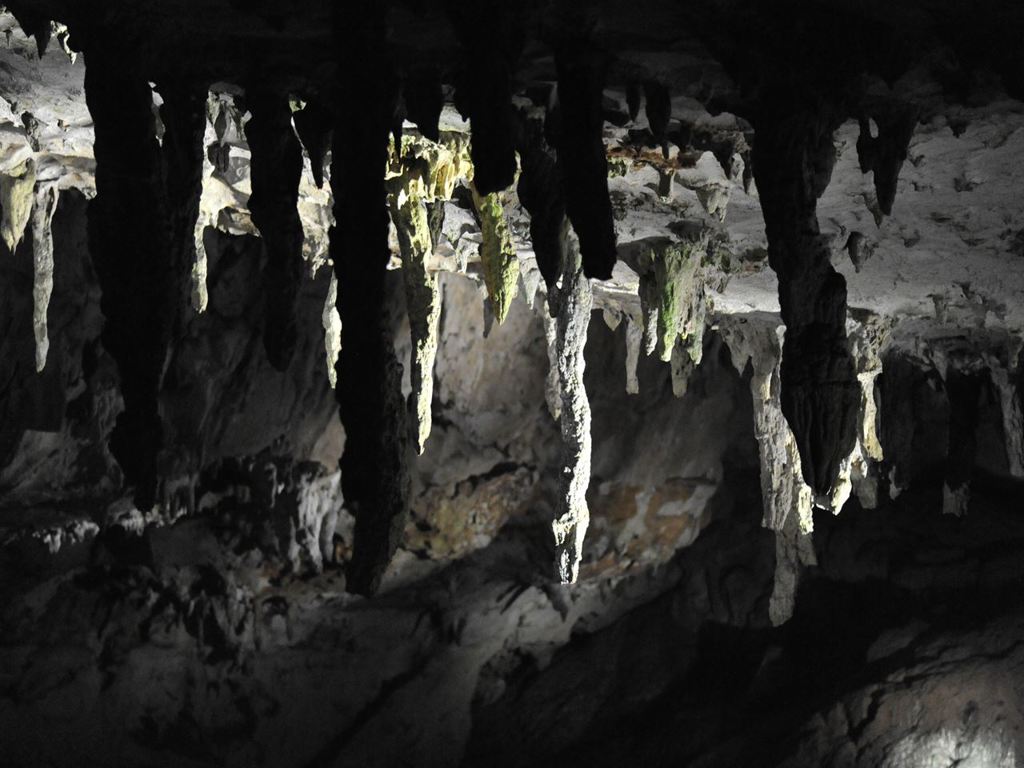 秋芳洞内　つららのように見えます。