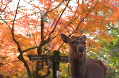 おなかすいたなぁ