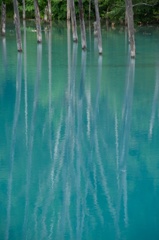 枯