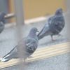通勤中