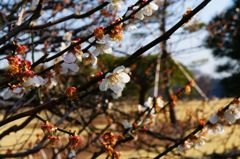 DSC05009_
