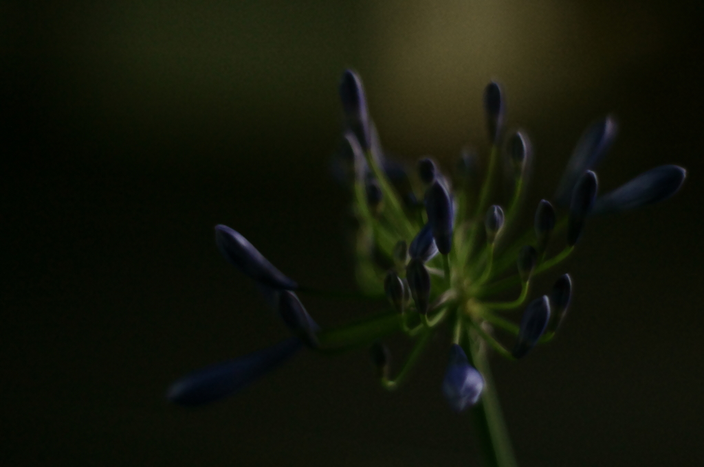 静かな花火