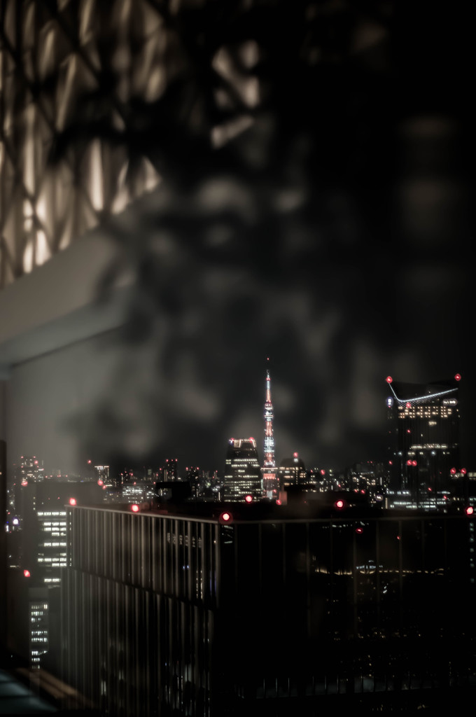夜錦
