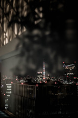 夜錦