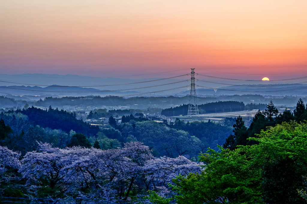 春霞の夜明け