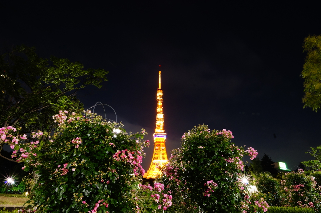 タワー