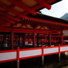 厳島神社　壱