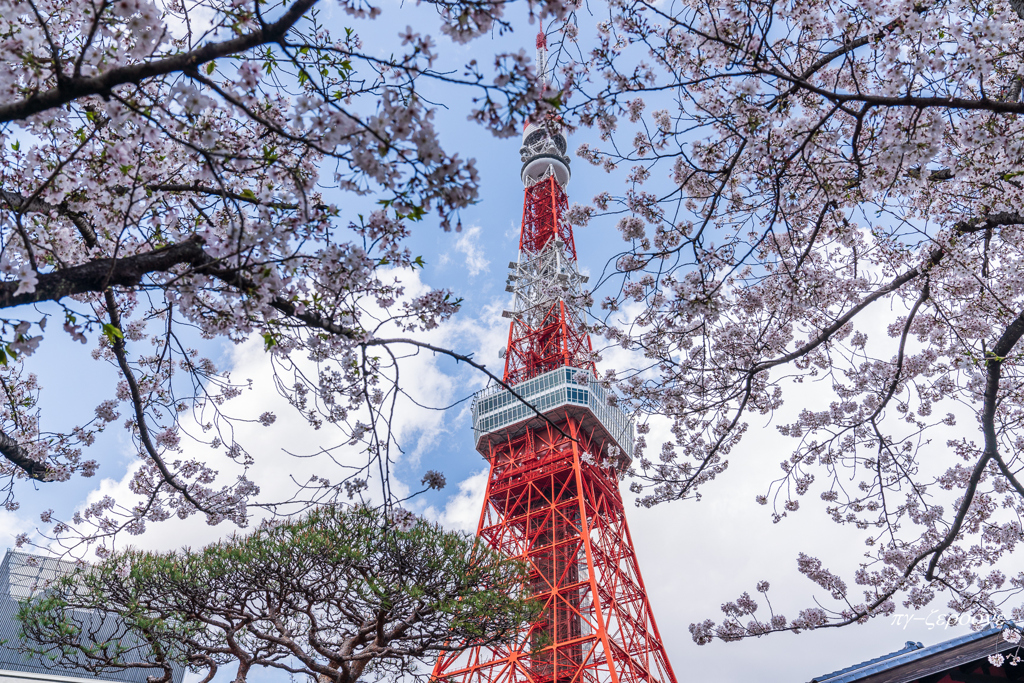 ランドマークの春