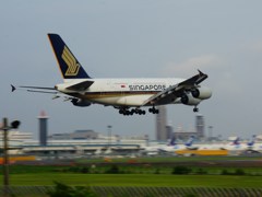 A380landing