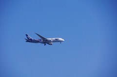 bowing787