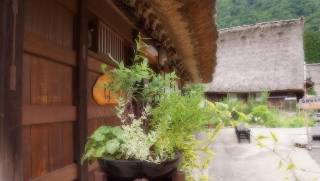 五箇山菅沼集落