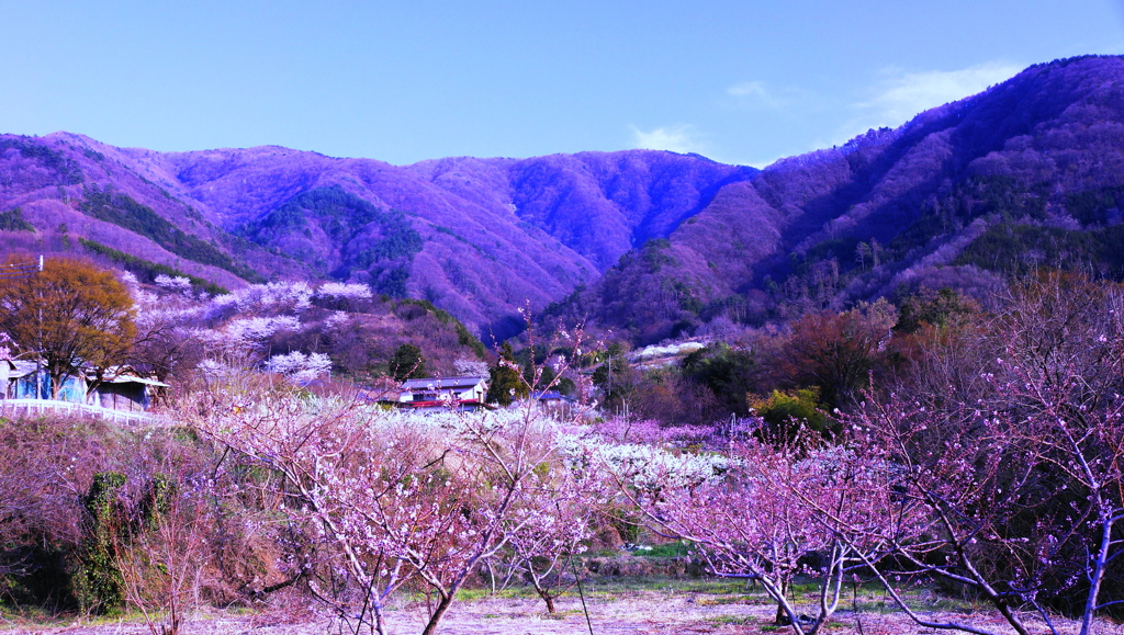 桃源郷