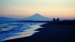 サザンの愛した海岸