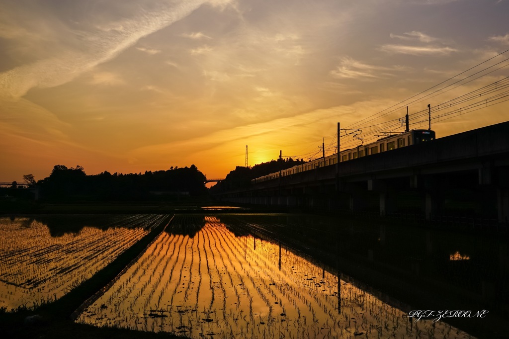 家路