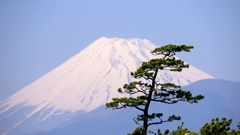 Fujiyama JAPAN
