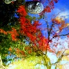 水面の紅葉アート
