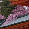 滝の如く
