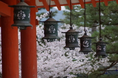 静寂