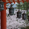 静寂