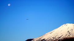 Fly to the Moon