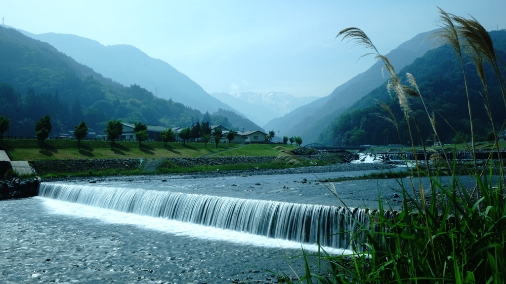 大鹿村の清流