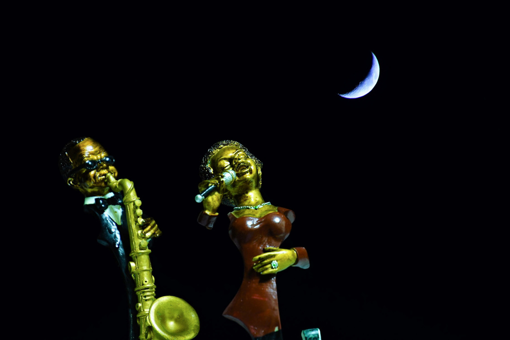Moonlight serenade