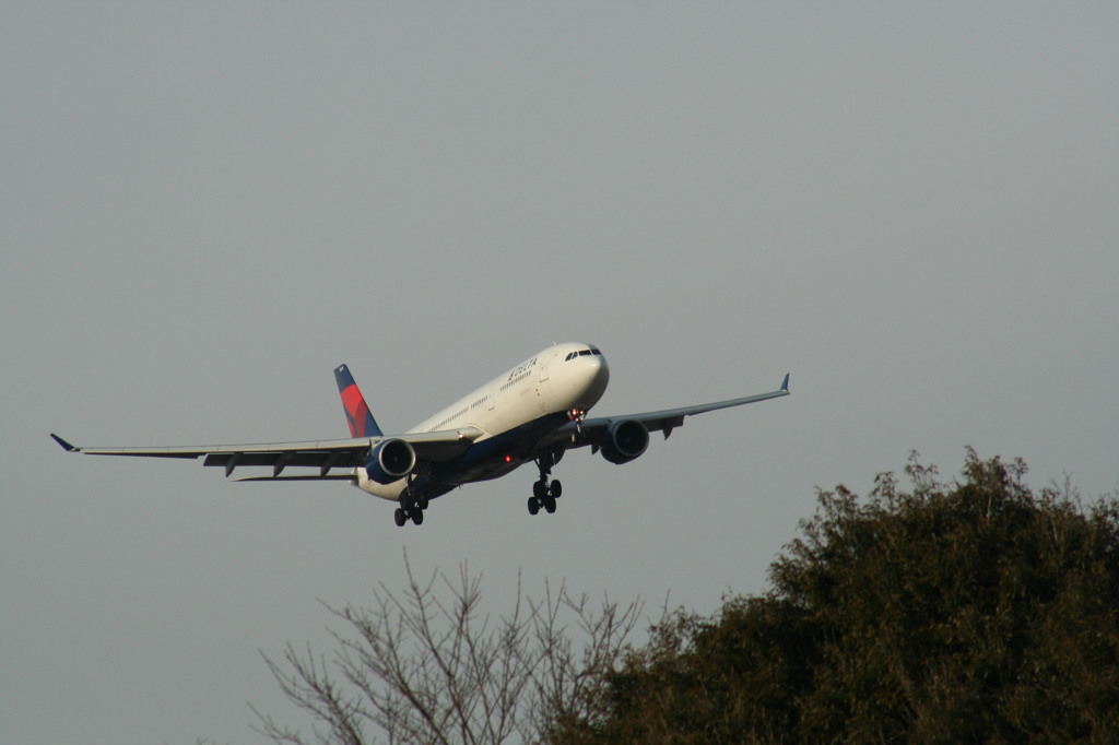 デルタ航空