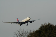 デルタ航空