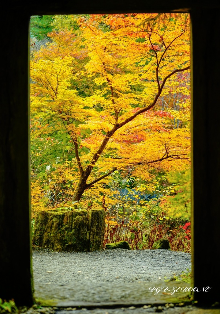 秋への入口