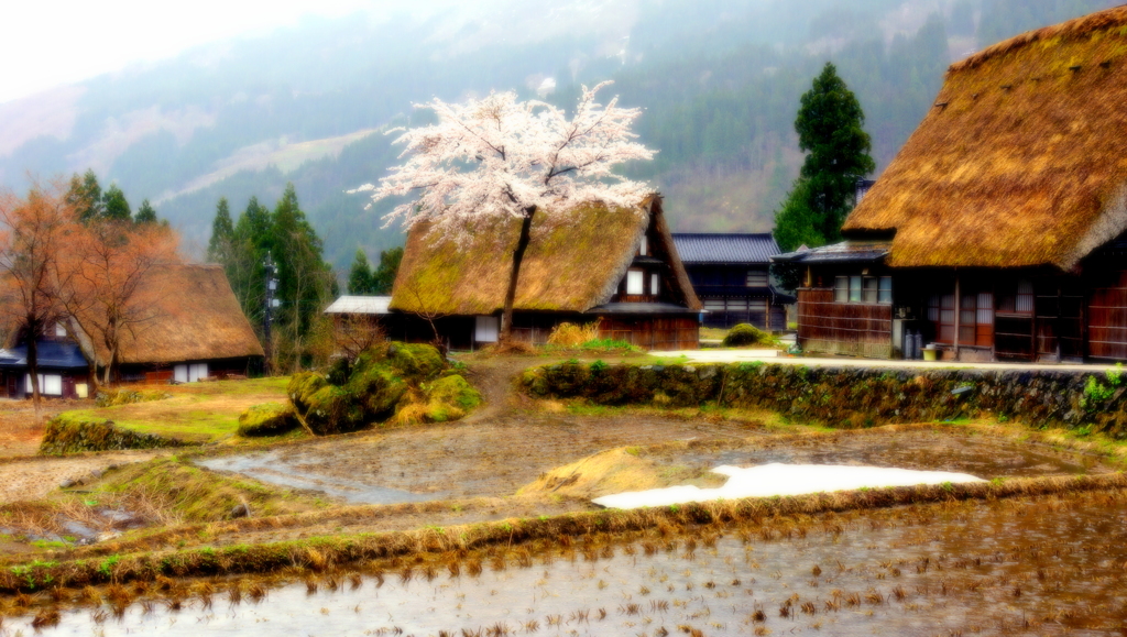 山里の春