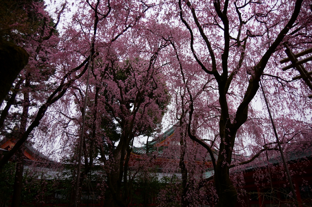 包みこむ
