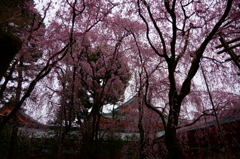 包みこむ
