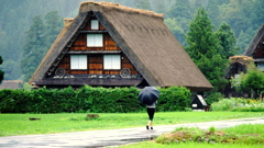 雨