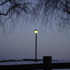 Twilight