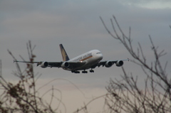 SingaporeAirLinesA380