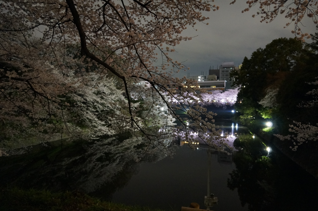 日本の美