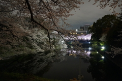 日本の美
