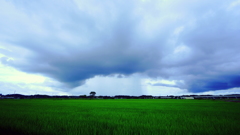 梅雨と夏のはざま