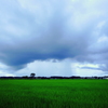 梅雨と夏のはざま