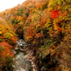 渓谷の紅葉