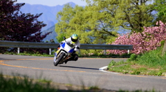 CornerRing